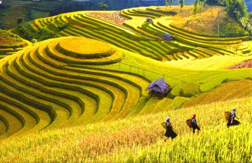 những điểm ngắm mùa thu lãng mạn nhất miền Bắc